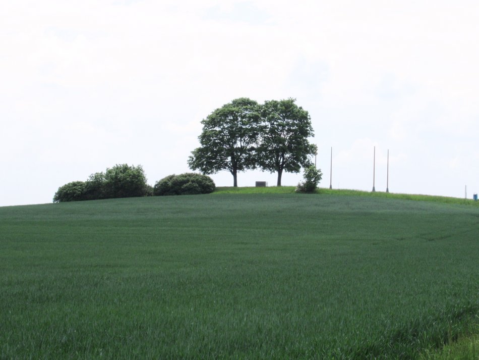 Žuráň - královská hrobka nedaleko Líšně