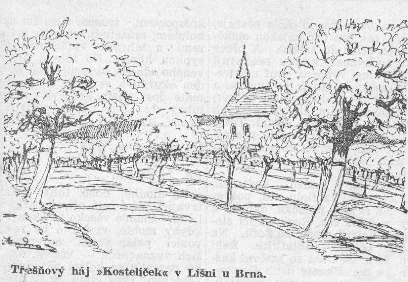 Kostelíček v Líšni - kresba