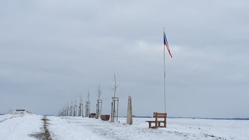 2025-02-15_Alej_parasutistu01