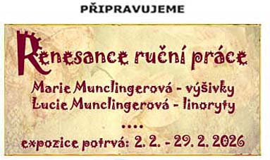 Neklež 2584/4, 628 00 Brno, zastoupená ředitelkou Jitkou Kubecovou, IČ: 494 66 747.