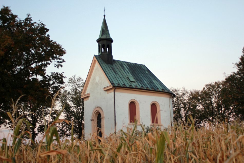 Brněnské zastupitelstvo schválilo zadání regulačního plánu Kostelíček