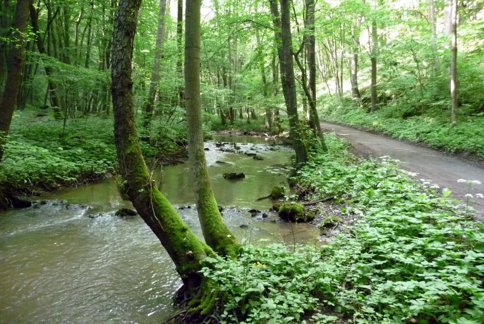 Turistika v Líšni