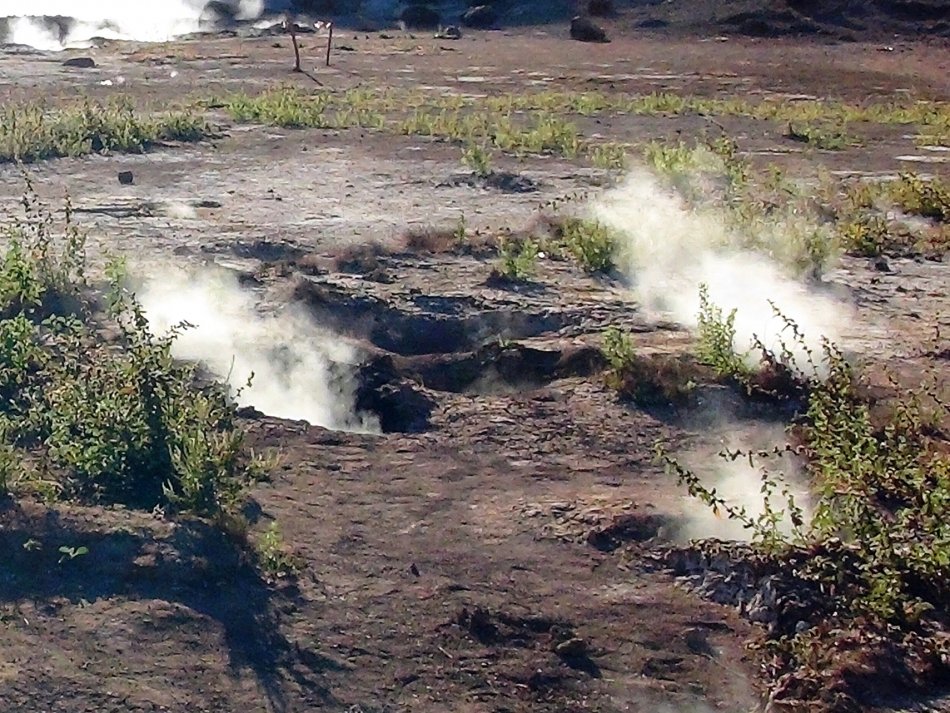 Spalování suchých rostlinných materiálů v Líšni