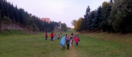 ZS_masarova_11_15e