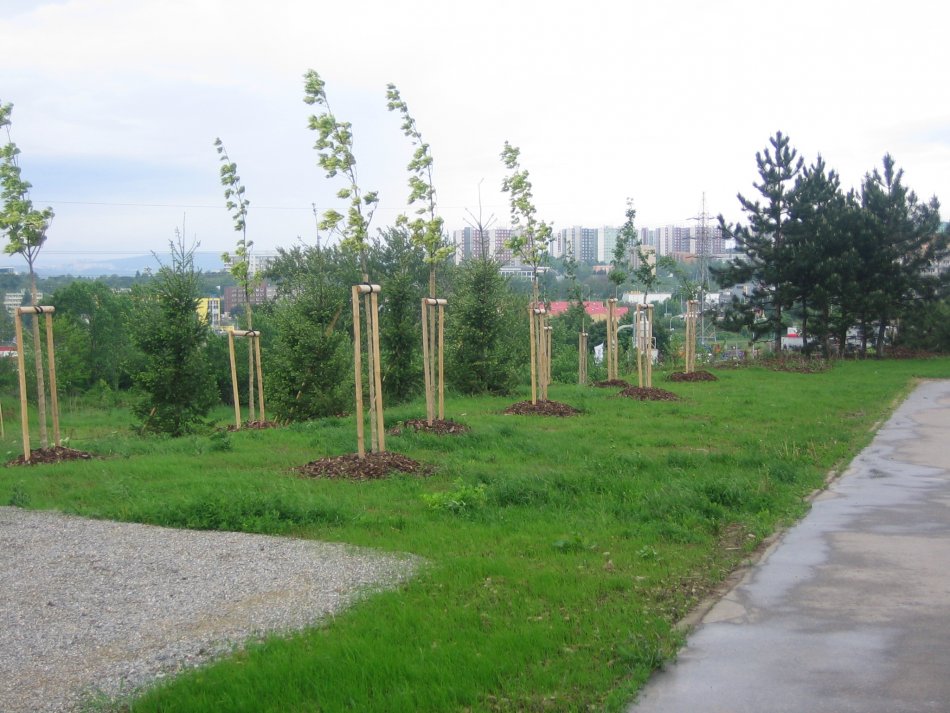 Systémová úprava zeleně v Brně-Líšni