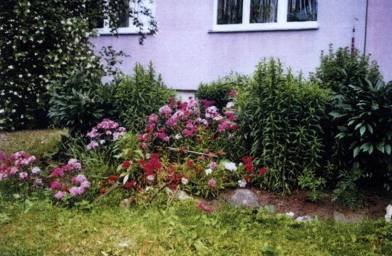 kitičková paní 2