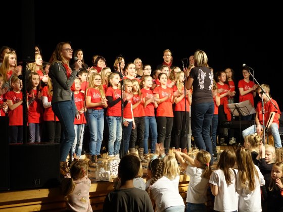 koncert Holzova
